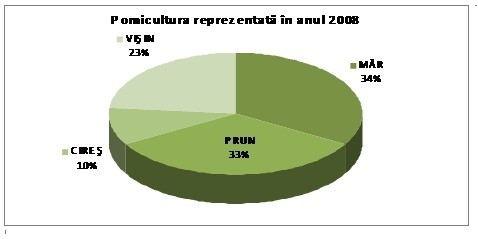 Pomicultura reprezentata în 2008