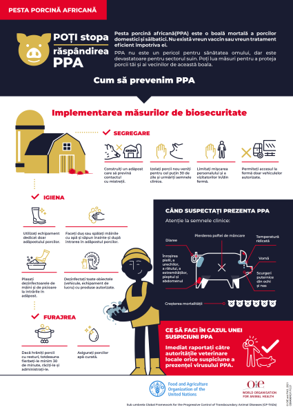 Campanie de informare pesta porcină africană