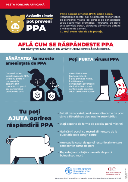 Campanie de informare pesta porcină africană