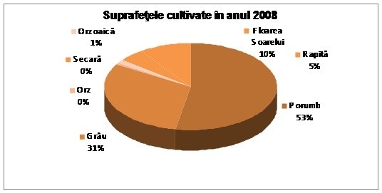 Reprezentarea grafică a producției vegetale