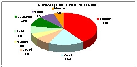 Suprafețe cultivate cu legume