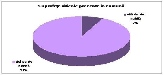 Suprafețe viticole prezente în comună