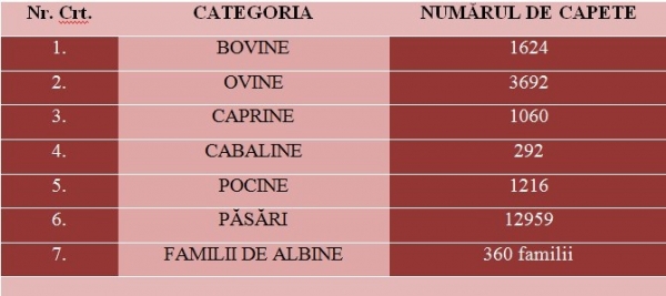 Efectivul de animale pe categorii din comuna Ghidigeni