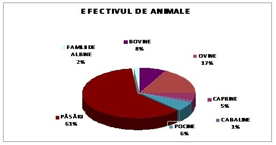 Efectivul de animale din comuna Ghidigeni